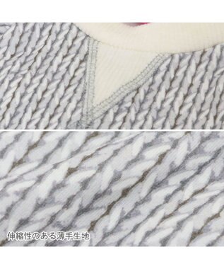 PET PARADISE ペットパラダイス ペティヒート 天竺 Tシャツ 《ニット柄》  超小型犬 小型犬 ニット柄