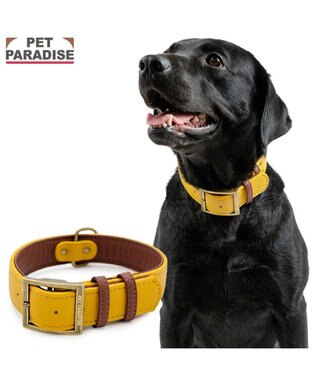 PET PARADISE ペットパラダイス ソフトレザー首輪 《マスタードイエロー》 Ｍ