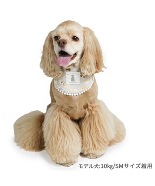 PET PARADISE ペットパラダイス makokoro ホカリラ バンダナ 中型犬 大型犬 グレイッシュベージュ