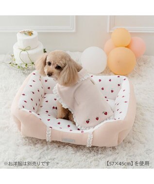 PET PARADISE ペットパラダイス いちご フリルカドラー  Ｍ 57×45cm ピンク