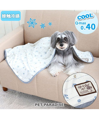 犬 販売 涼しい ブランケット