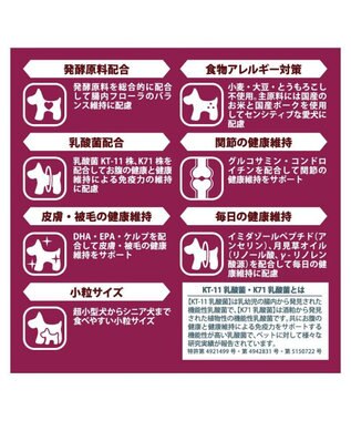 PET PARADISE ≪配合リニューアル≫ ペットパラダイス  国産 ドッグフード フローラ3kg 0