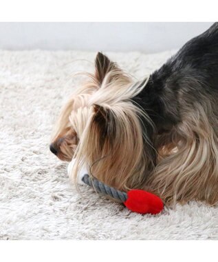 PET PARADISE ディズニー ロープ トイ 《ベイマックス》 小型犬 ベイマックス