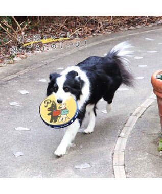 PET PARADISE 犬 おもちゃ リサとガスパール フライングディスク M (直径22cm) 黄
