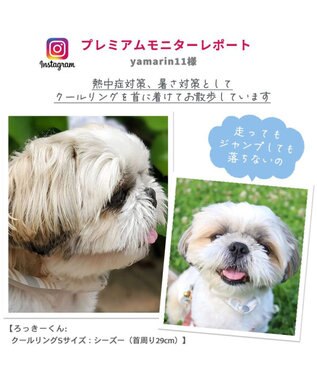 PET PARADISE クールリング 犬 クールネック ひんやり 28℃クールリング 【３Ｓ】 リフレクター 水色 ベージュ  反射材付き 水色 ３Ｓ
