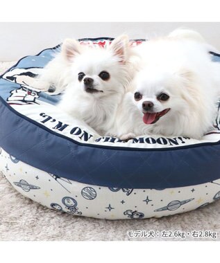 PET PARADISE スヌーピー 丸型 クッション 《アストロノーツ柄》 アストロノーツ柄