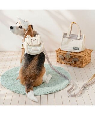 PET PARADISE ペットパラダイス くまチャームリード Ｍ～Ｌ ベージュ