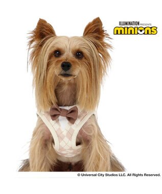 PET PARADISE ミニオン ティム ベストハーネス 《アーガイル》 超小型犬 ３S