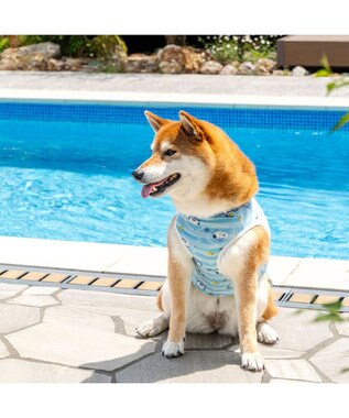 PET PARADISE スヌーピー タッチワンクール プラス タンクトップ 《マリン》 中型犬 大型犬 ライトブルー