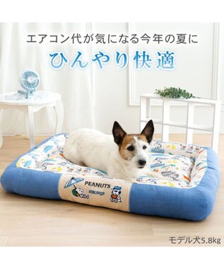 PET PARADISE スヌーピー クール 四角カドラー 《サマーバケーション柄》 Ｌ ホワイト×ブルー