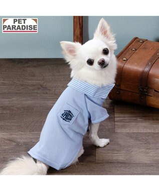 PET PARADISE J.PRESS カノコ スキッパー ポロシャツ 小型犬