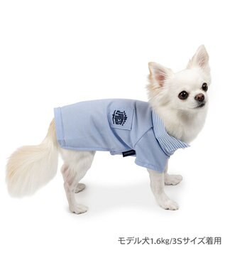 PET PARADISE J.PRESS カノコ スキッパー ポロシャツ 小型犬 ブルー