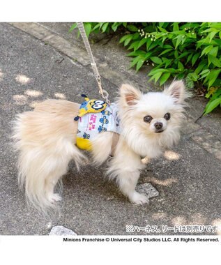 PET PARADISE ミニオン クールベスト 《アイス柄》 小型犬 ライトブルー