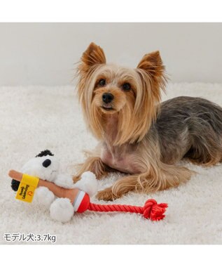PET PARADISE スヌーピー 75周年 ロープトイ  小型犬 レッド