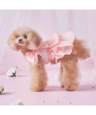 PET PARADISE cherircouture  接触冷感リボンワンピース《ピンク》 小型犬 ピンク