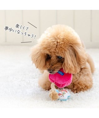 PET PARADISE ディズニー ズートピア アイス トイ パープル