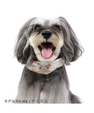 PET PARADISE 花柄 襟付首輪 おしゃれ 【S】 小型犬 茶系