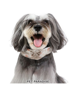 PET PARADISE 花柄 襟付首輪 おしゃれ 【S】 小型犬 茶系