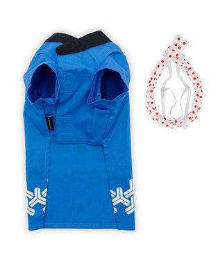 PET PARADISE ペットパラダイス ねじり鉢巻き付き 法被　中型犬 大型犬 ブルー