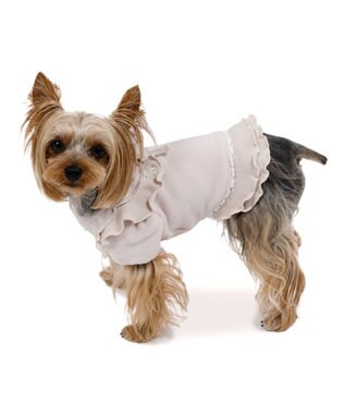 PET PARADISE ペットパラダイス ペティヒートDAN Tシャツ 《小花刺繍》小型犬 ベージュ