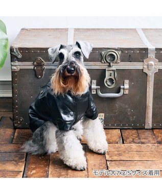 PET PARADISE Lee ＰＵ ライダース ジャケット 小型犬 ブラック
