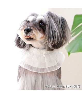 PET PARADISE ペットパラダイス クールバンダナ 《フリル》 小型犬 フリル
