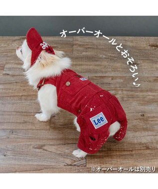 PET PARADISE Lee コーデュロイ キャップ ４Ｓ～３Ｓ/ＳＳ～Ｓ レッド