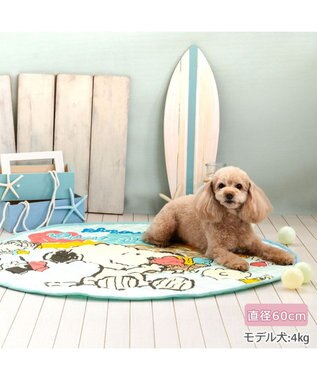 PET PARADISE スヌーピー 冷感柔らか マット 《アイス柄》 丸型 Ｓ ブルー