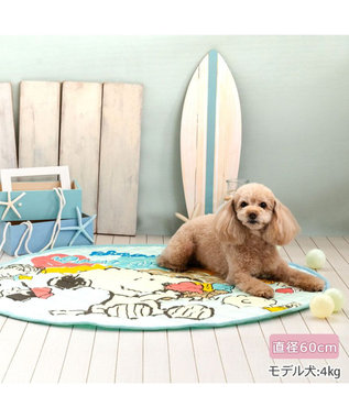 PET PARADISE スヌーピー 冷感柔らか マット 《アイス柄》 丸型 S ブルー