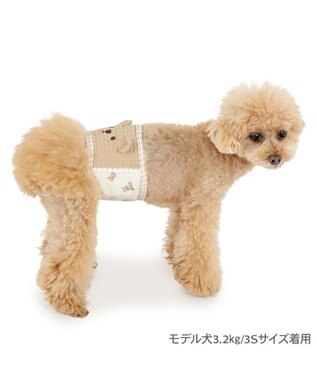 PET PARADISE ペットパラダイスくまちゃん いっぱい マナーベルト 小型犬 ブラウン