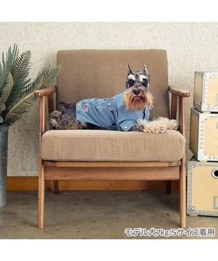 PET PARADISE J.PRESS デニムジャケット 春 小型犬 ライトインディゴブルー