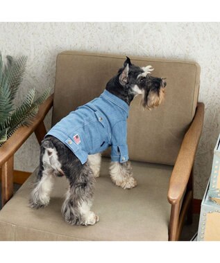 PET PARADISE J.PRESS デニムジャケット 春 小型犬 ライトインディゴブルー