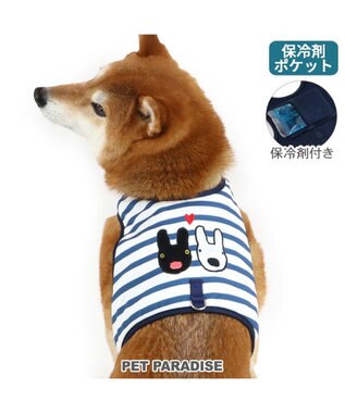 犬と猫の特殊検査マニュアル [単行本（ソフトカバー）] CAP編集部 犬と猫の特殊検査マニュアル [単行本（ソフトカバー）] CAP編集