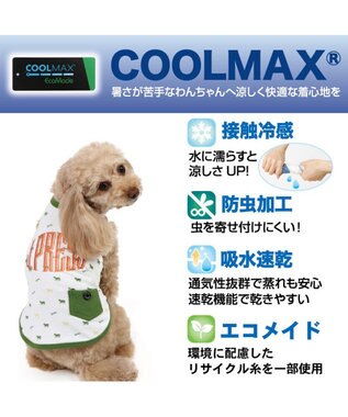 PET PARADISE J.PRESS エコメイド タンクトップ 《羊柄 グリーン》 小型犬 羊柄グリーン