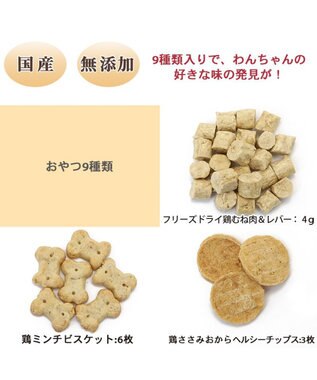 PET PARADISE 2024 クリスマス アドベントカレンダー おやつ 国産 0