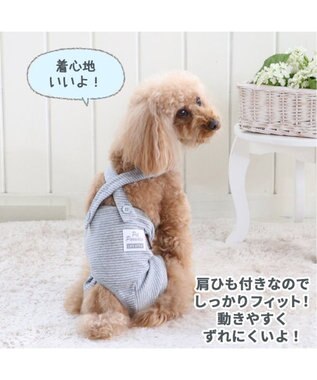 犬 服 夏服 マナーオール グレー 小型犬 オムツ おむつ 術後服 サニタリー マナーベルト マナーパンツ Pet Paradise 通販 雑貨とペット用品の通販サイト マザーガーデン ペットパラダイス