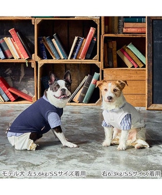 PET PARADISE ペットパラダイス ベスト パンツつなぎ 《ネイビー》 小型犬 ネイビー×ホワイト