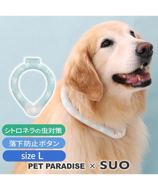 ペットパラダイス 28℃クールリング SUO 《くま柄》 〔Ｌ〕 大型犬, くまちゃん, Ｌ