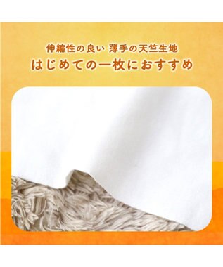 PET PARADISE ペットパラダイス ペティヒート Tシャツ 《苺柄》 小型犬 超小型犬 苺柄