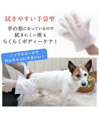 PET PARADISE ペットパラダイス シャンプータオル ボディケアシート 【全犬種用】 10枚入り 赤