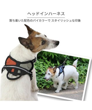 ヘッドインハーネス 【ＳＳ】 オレンジ / ブルー 【小型犬】 / PET 