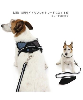 PET PARADISE ヘッドインハーネス 【ＳＳ】 オレンジ / ブルー 【小型犬】 ブルー×ブラウン