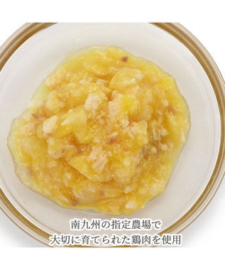 PET PARADISE リアルフード パウチスープ 《砂肝&パンプキン》 50g×3パック 国産 砂肝&パンプキン