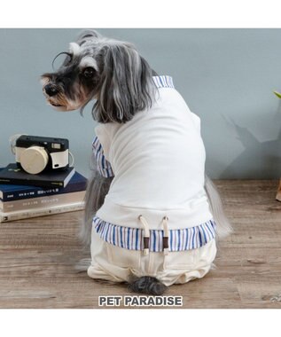 PET PARADISE ペットパラダイス ベスト パンツつなぎ 《ホワイト》 小型犬