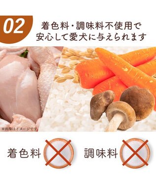 PET PARADISE 愛犬にやさしい スープごはん 鶏 0