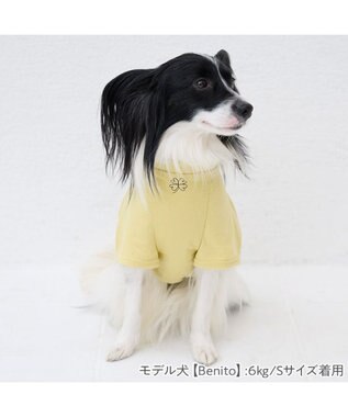 PET PARADISE ペットパラダイス Mai Kuraki　LOVE  ペットTシャツ 《イエロー》 小型犬 イエロー