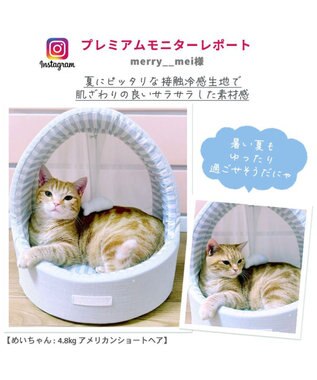 PET PARADISE 猫 ハウス クール 夏 接触冷感 ひんやり ねこハウス (40×35cm) 水色