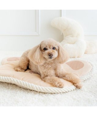 PET PARADISE ペットパラダイスくまさん マット ベージュ