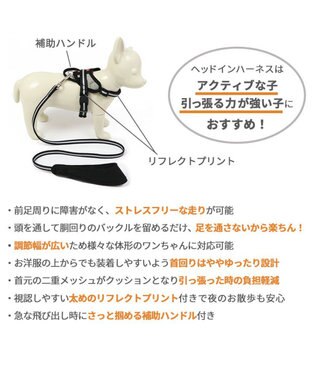 PET PARADISE ヘッドインハーネス  【SM】 オレンジ / ブルー 【中型犬】 オレンジ×グレー