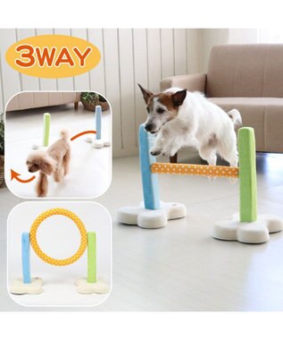 PET PARADISE 犬 トイ TOY ペットパラダイス アジリティ セット 訓練 ドッグアジリティ トレーニング マルチカラー